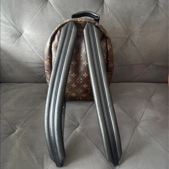 Louis Vuitton PALM SPRING Monogram PM size main image 7